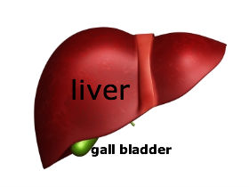 homepathic treatment of gallstones or gallbladder stones without surgery image