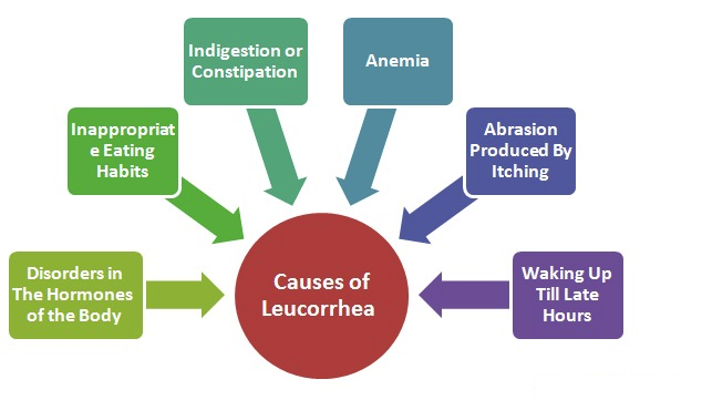 Main causes of Leucorrhea image