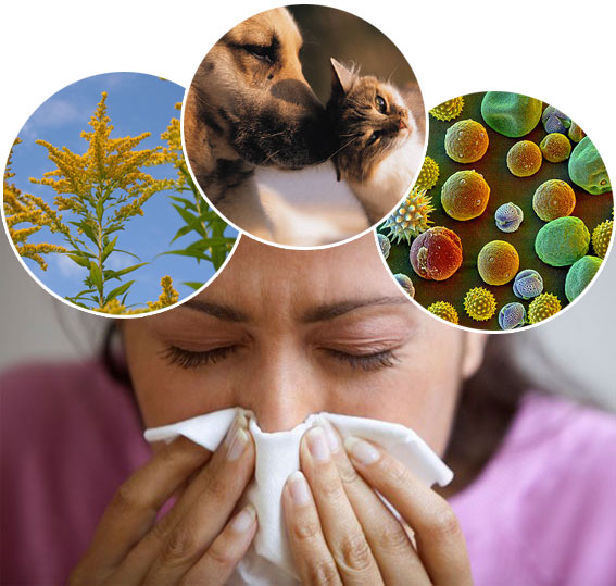 seasonal allergy homeopathic treatment