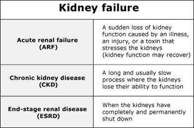 Three Stages of Kidney Failure image