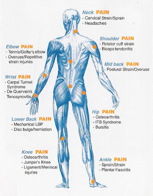 Joints of Body with Arthritis Pain