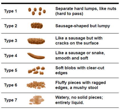 Types of Stools image