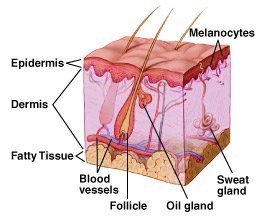 causes of moles and homeopathic treatment