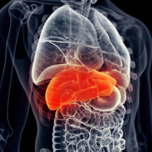 Fatty liver cured from homeopathic treatment